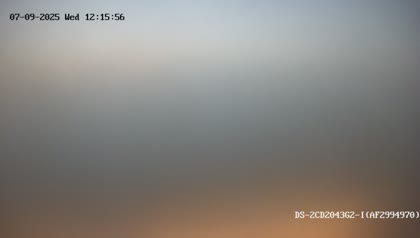 2025-07-09