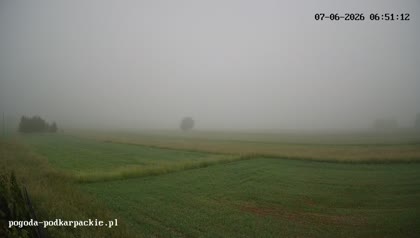 2026-06-06