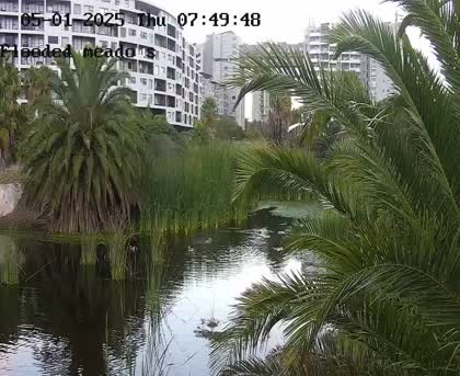 2025-05-02