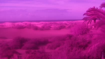 2026-10-13
