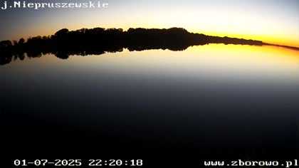 2025-07-01