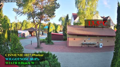 2026-05-19
