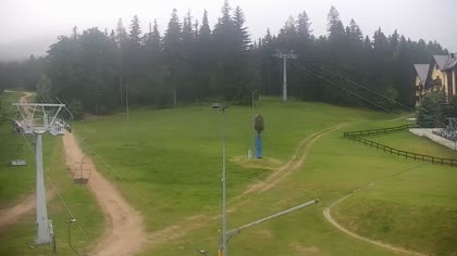 2026-06-12