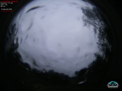 2026-08-01