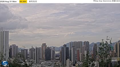 2026-08-31