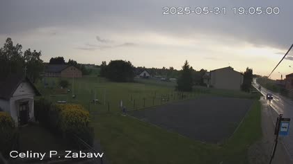 2025-05-31