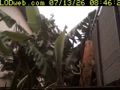 2026-07-13