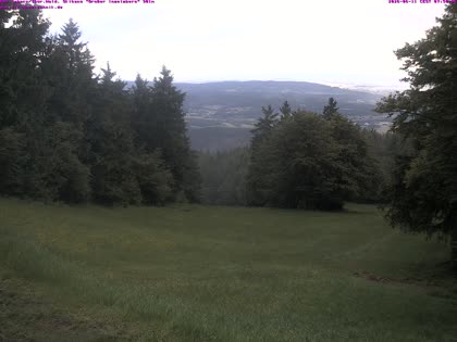 2026-06-11
