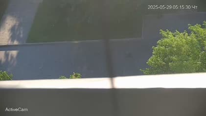 2025-05-29
