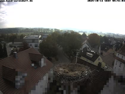 2025-10-12