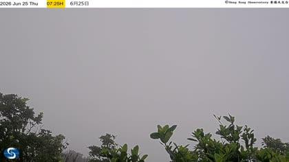 2026-06-25