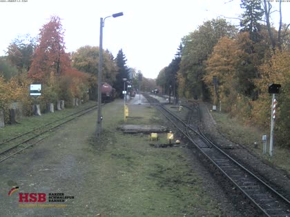 2025-10-11