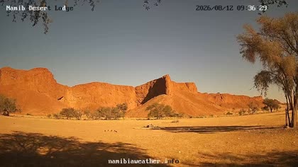 2026-08-12