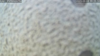 2025-09-08