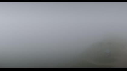 2025-07-29
