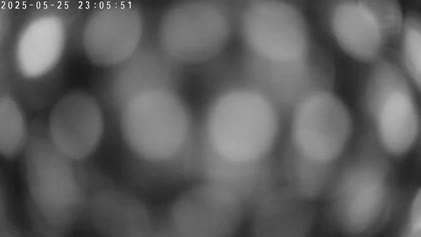 2025-05-26