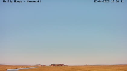 2025-04-12