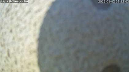 2025-08-02