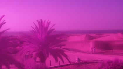 2026-07-04