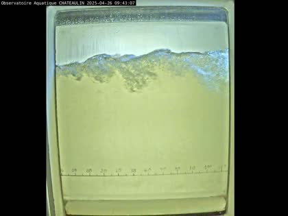 2025-04-26