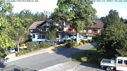 2025-06-19