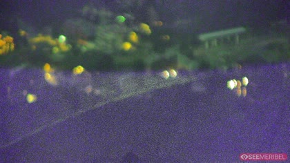 2025-07-12