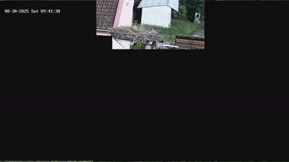 2025-08-31