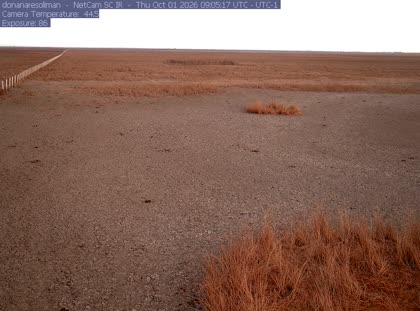 2026-10-01