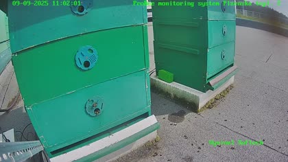 2025-09-10