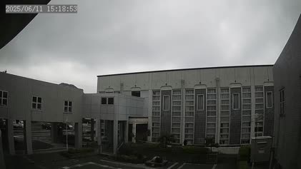 2025-06-11