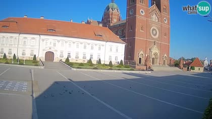 2026-07-31