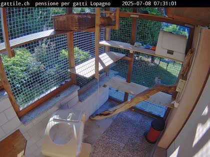 2025-07-08