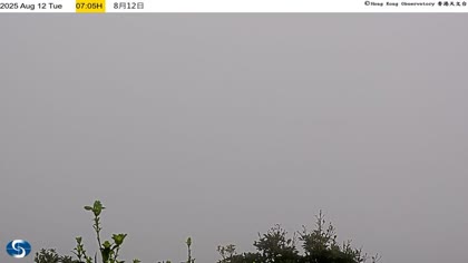 2025-08-12