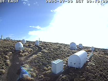 2025-07-29