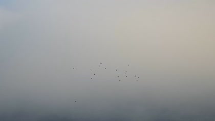 2025-10-03