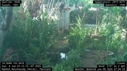 2025-06-08