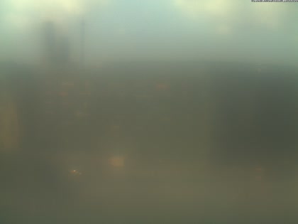 2025-07-29