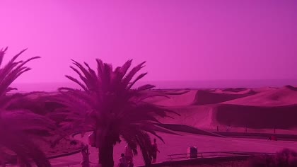 2025-09-15