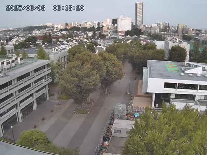 2025-08-05