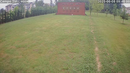 2025-06-08