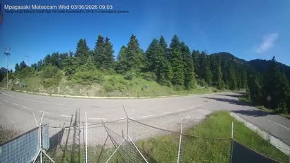 2026-06-03