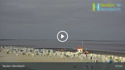 2026-07-13