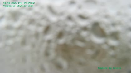 2025-10-10