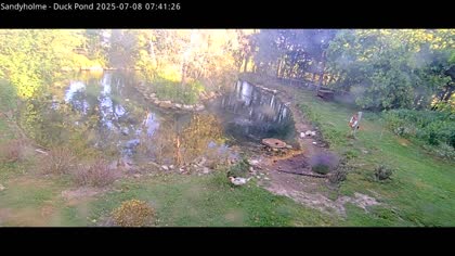 2025-07-08