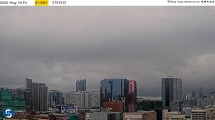 2026-05-15