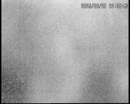 2025-06-29
