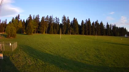 2026-05-13