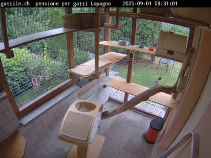 2025-09-01