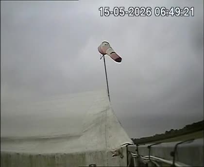 2026-05-15
