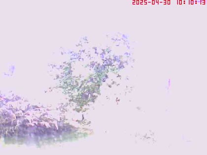 2025-04-30